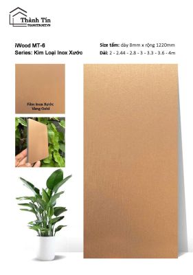 Tấm than tre Inox xước MT-6